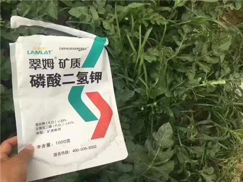 磷酸二氫鉀，硼肥，沖施肥